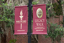 Photo of Florida State torch banners along the Legacy Walk through campus