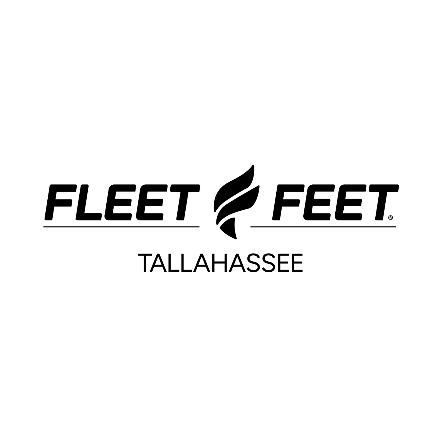 500x500 pixels