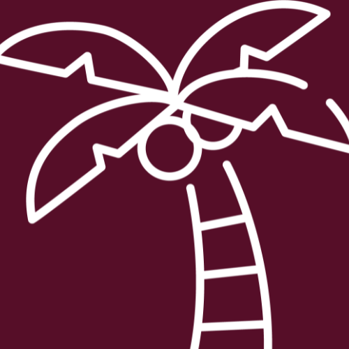 Spirit icon