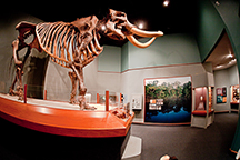 Photo of The Museum of Florida History